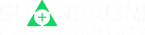 Guandalini_principal_Branco_logo-verde_PNG-2048x493-1-e1670938349989.webp